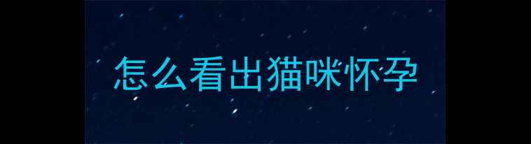 图片 怎么看出猫咪怀孕