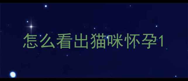 图片 怎么看出猫咪怀孕1