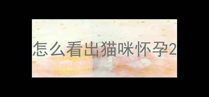 图片 怎么看出猫咪怀孕2