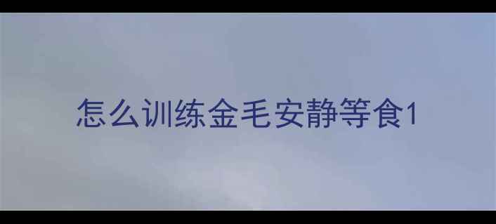 图片 怎么训练金毛安静等食1