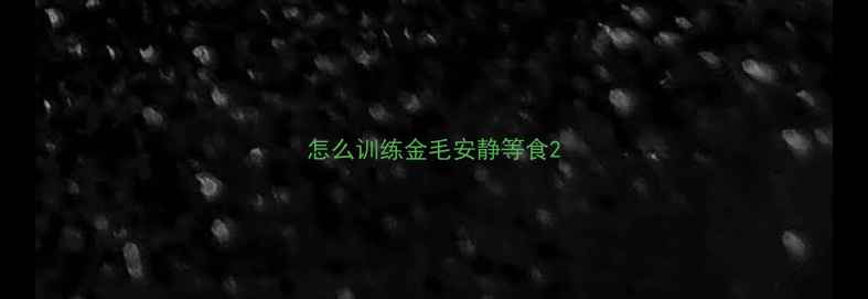 图片 怎么训练金毛安静等食2