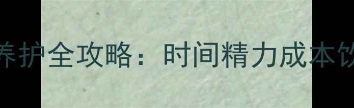 图片 成年哈士奇每日养护全攻略：时间精力成本饮食科学配比指南