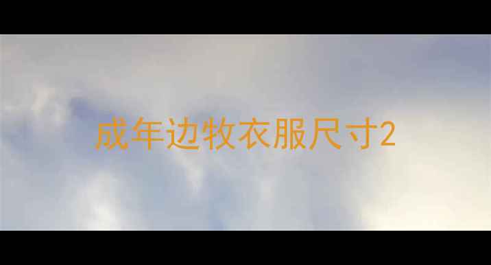 图片 成年边牧衣服尺寸2