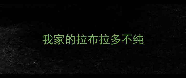 图片 我家的拉布拉多不纯
