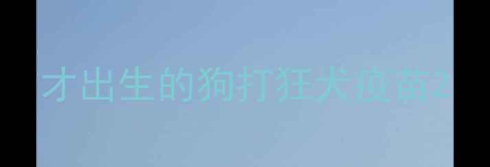 图片 才出生的狗打狂犬疫苗2