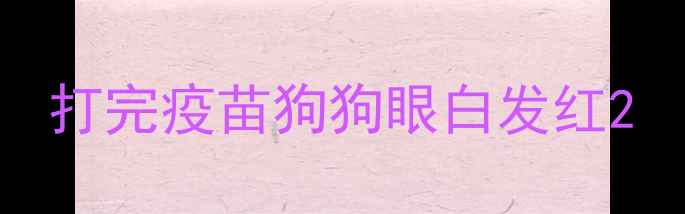 图片 打完疫苗狗狗眼白发红2