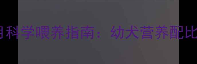 图片 拉布拉多七个月科学喂养指南：幼犬营养配比表与禁忌清单1