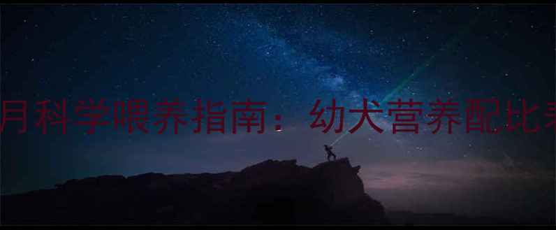 图片 拉布拉多七个月科学喂养指南：幼犬营养配比表与禁忌清单2