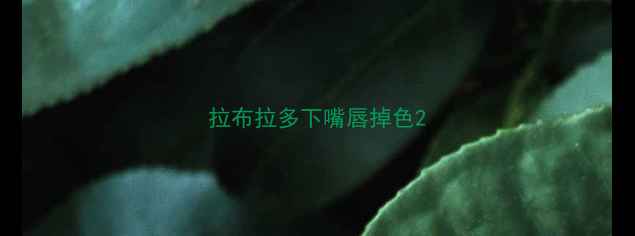 图片 拉布拉多下嘴唇掉色2