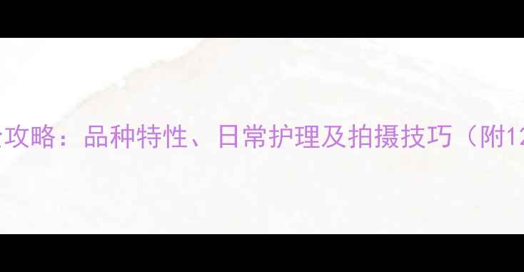图片 拉布拉多串串饲养全攻略：品种特性、日常护理及拍摄技巧（附120张高清图片指南）