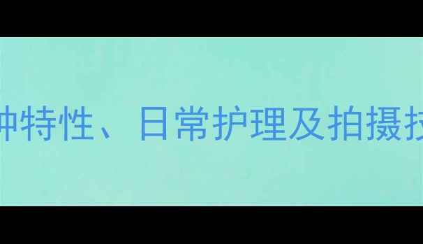 图片 拉布拉多串串饲养全攻略：品种特性、日常护理及拍摄技巧（附120张高清图片指南）1