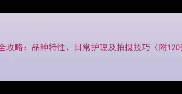 图片 拉布拉多串串饲养全攻略：品种特性、日常护理及拍摄技巧（附120张高清图片指南）2