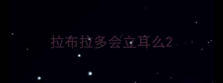 图片 拉布拉多会立耳么2