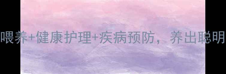 图片 拉布拉多全攻略：科学喂养+健康护理+疾病预防，养出聪明活泼好性格的黄金犬种