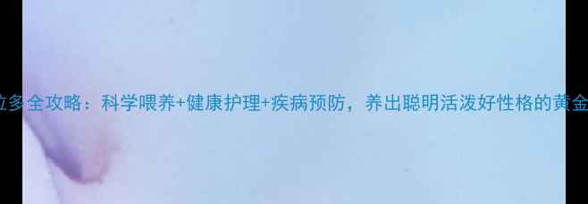 图片 拉布拉多全攻略：科学喂养+健康护理+疾病预防，养出聪明活泼好性格的黄金犬种1