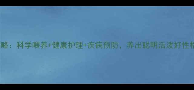 图片 拉布拉多全攻略：科学喂养+健康护理+疾病预防，养出聪明活泼好性格的黄金犬种2