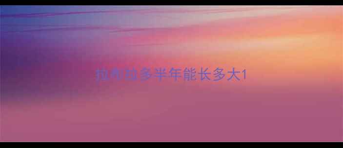 图片 拉布拉多半年能长多大1