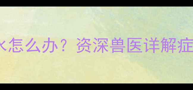图片 拉布拉多喝水吐黄水怎么办？资深兽医详解症状原因与应对方案1