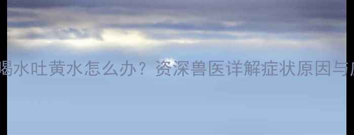 图片 拉布拉多喝水吐黄水怎么办？资深兽医详解症状原因与应对方案2