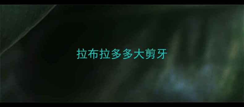 图片 拉布拉多多大剪牙