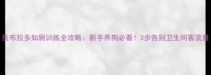 图片 拉布拉多如厕训练全攻略：新手养狗必看！3步告别卫生间客流量