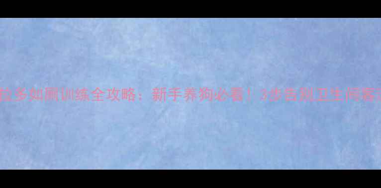 图片 拉布拉多如厕训练全攻略：新手养狗必看！3步告别卫生间客流量2
