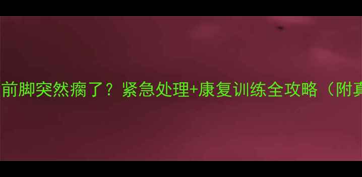 图片 拉布拉多左前脚突然瘸了？紧急处理+康复训练全攻略（附真实案例）1