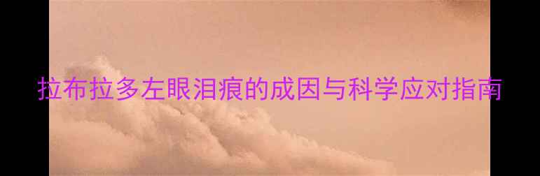 图片 拉布拉多左眼泪痕的成因与科学应对指南