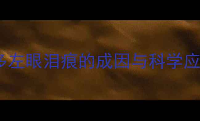 图片 拉布拉多左眼泪痕的成因与科学应对指南1