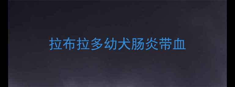 图片 拉布拉多幼犬肠炎带血