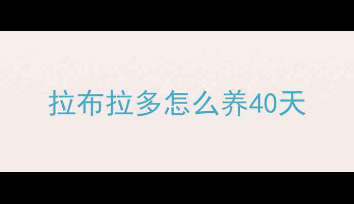 图片 拉布拉多怎么养40天