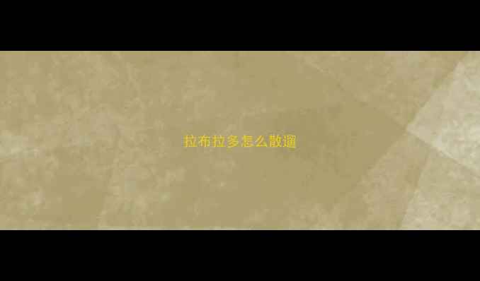 图片 拉布拉多怎么散遛