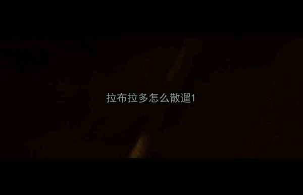 图片 拉布拉多怎么散遛1