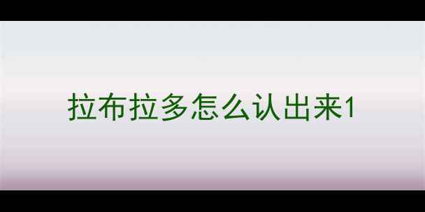 图片 拉布拉多怎么认出来1