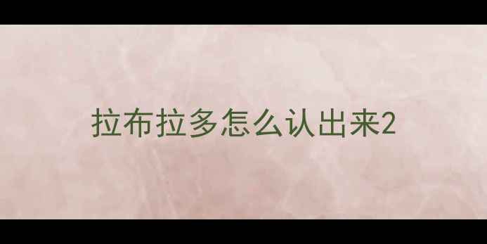 图片 拉布拉多怎么认出来2