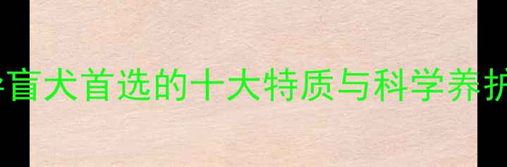 图片 拉布拉多性格：导盲犬首选的十大特质与科学养护指南（最新版）2