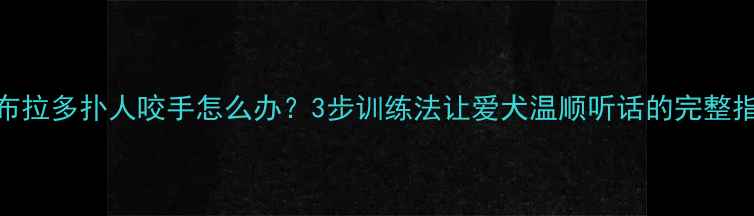 图片 拉布拉多扑人咬手怎么办？3步训练法让爱犬温顺听话的完整指南