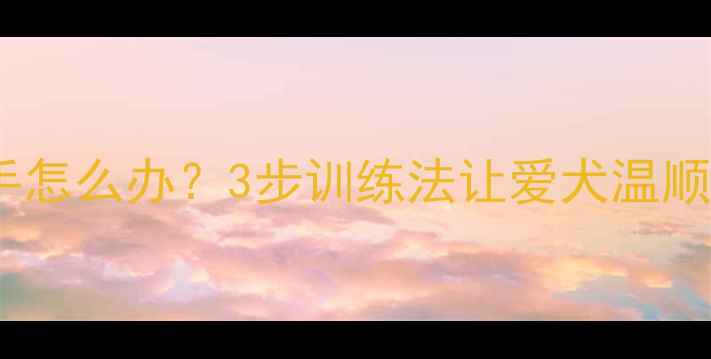 图片 拉布拉多扑人咬手怎么办？3步训练法让爱犬温顺听话的完整指南1