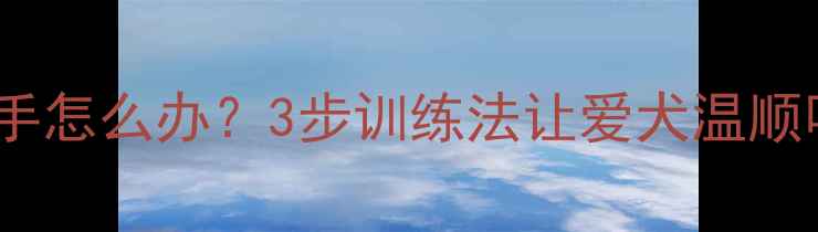 图片 拉布拉多扑人咬手怎么办？3步训练法让爱犬温顺听话的完整指南2