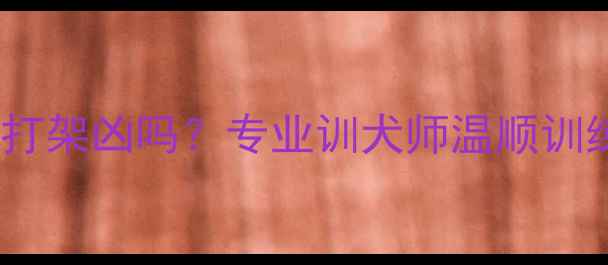 图片 拉布拉多打架凶吗？专业训犬师温顺训练全攻略1
