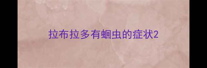 图片 拉布拉多有蛔虫的症状2