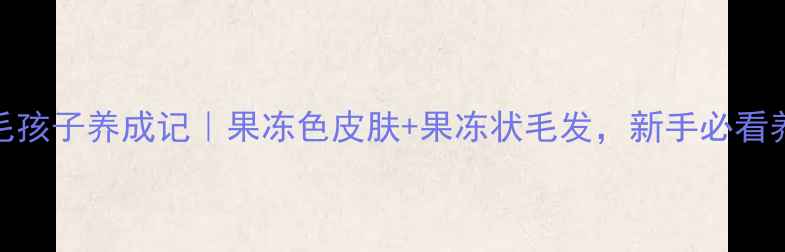 图片 拉布拉多毛孩子养成记｜果冻色皮肤+果冻状毛发，新手必看养宠攻略！