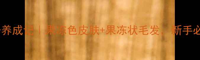 图片 拉布拉多毛孩子养成记｜果冻色皮肤+果冻状毛发，新手必看养宠攻略！1
