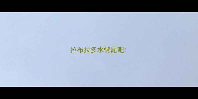 图片 拉布拉多水懒尾吧1