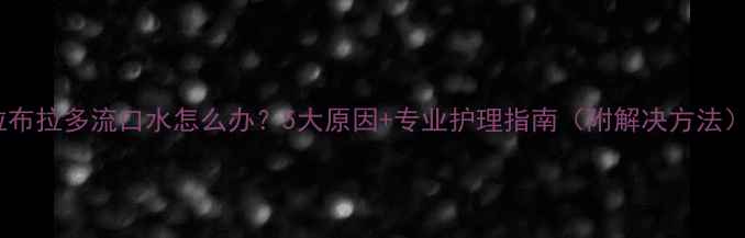 图片 拉布拉多流口水怎么办？5大原因+专业护理指南（附解决方法）2
