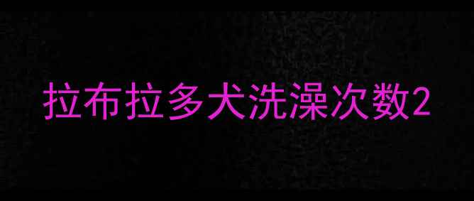 图片 拉布拉多犬洗澡次数2