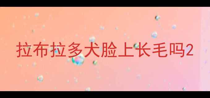 图片 拉布拉多犬脸上长毛吗2