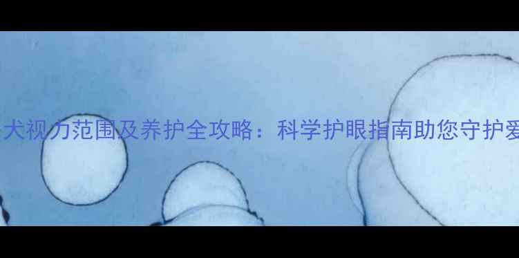 图片 拉布拉多犬视力范围及养护全攻略：科学护眼指南助您守护爱犬明眸1