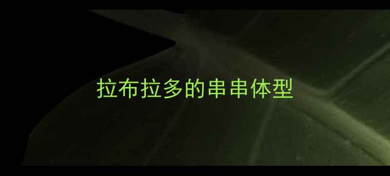 图片 拉布拉多的串串体型