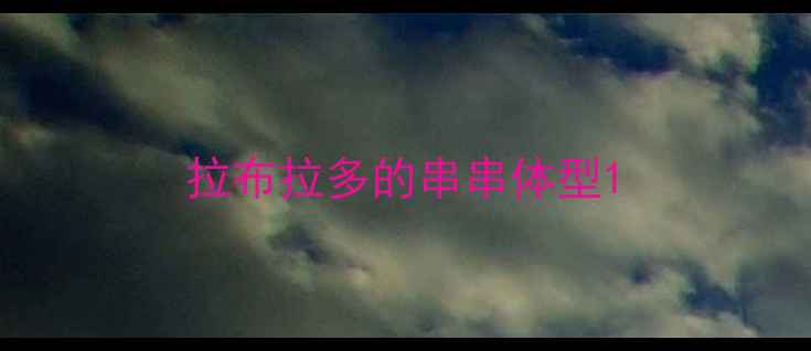 图片 拉布拉多的串串体型1